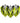 Black & Green MVG Prism Alpha Standard