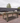 Champagne Outdoor Pool Table by Imperial